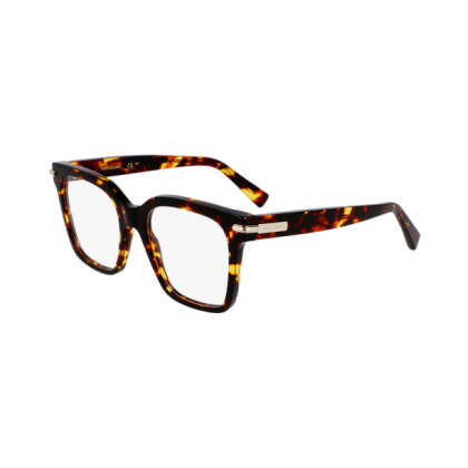 Мъжка рамка Salvatore Ferragamo SF3009-242