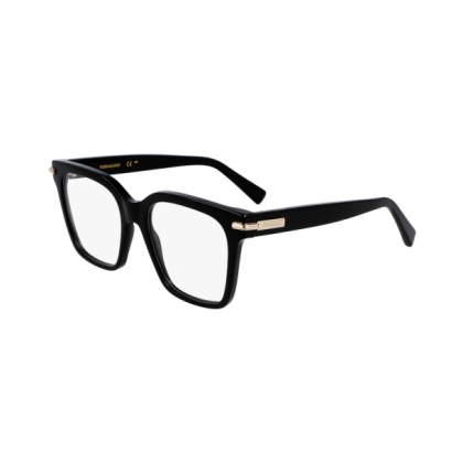 Мъжка рамка Salvatore Ferragamo SF3009-001