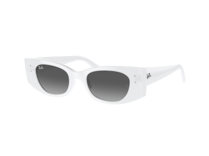 Дамски слънчеви очила RAY-BAN 0RB4427-675911-49