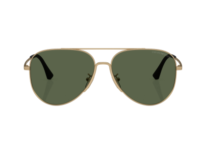 Мъжки слънчеви очила Emporio Armani EA2149D 300271