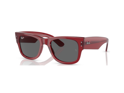 Унисекс слънчеви очила Ray-Ban RB0840S 6679B1