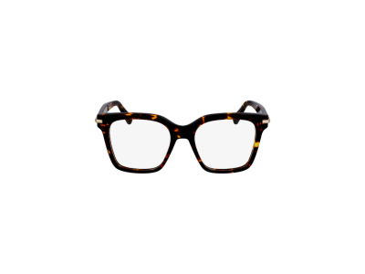 Мъжка рамка Salvatore Ferragamo SF3009-242