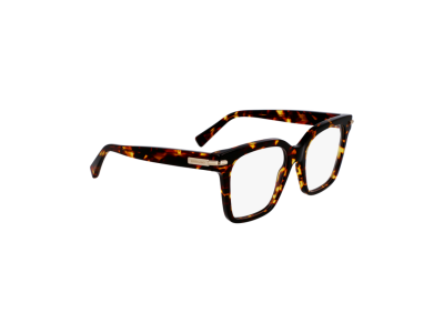 Мъжка рамка Salvatore Ferragamo SF3009-242