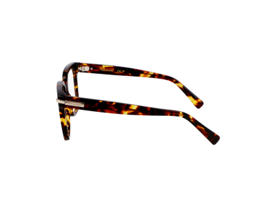 Мъжка рамка Salvatore Ferragamo SF3009-242