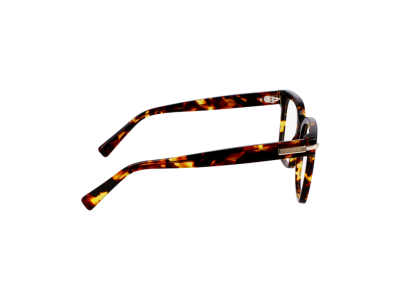 Мъжка рамка Salvatore Ferragamo SF3009-242