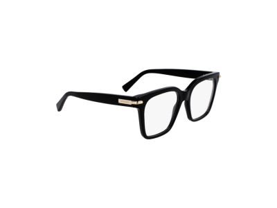 Мъжка рамка Salvatore Ferragamo SF3009-001