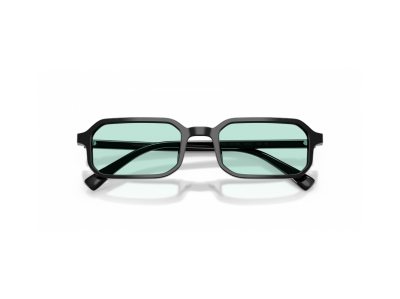 Мъжки слънчеви очила EMPORIO ARMANI EA4253U-501765-54
