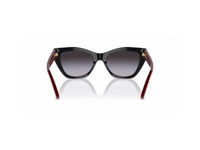 Дамски слънчеви очила EMPORIO ARMANI EA4176-50178G-54