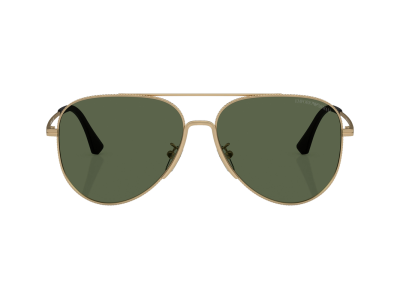 Мъжки слънчеви очила Emporio Armani EA2149D 300271