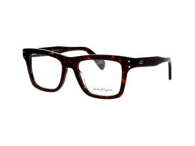 Мъжка рамка FERRAGAMO SF2923-219-53