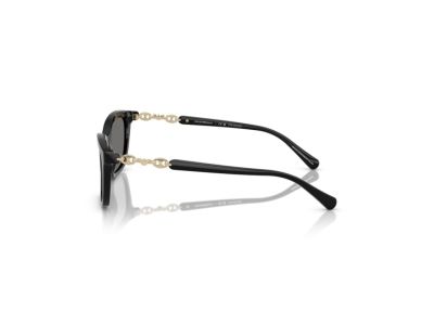 Дамски слънчеви очила Emporio Armani EA4238-501781