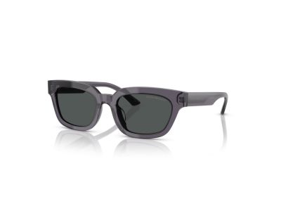 Дамски слънчеви очила Emporio Armani EA4233U-610687