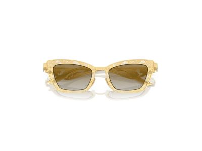 Дамски слънчеви очила Dolce & Gabbana DG2311-12246E